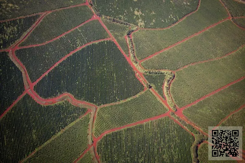寵善畢業禮有限公司