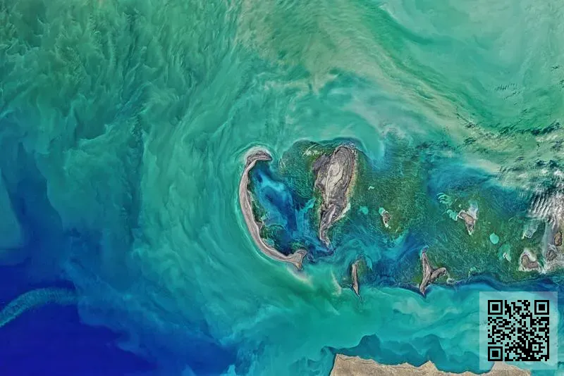 禮登旅遊服務有限公司