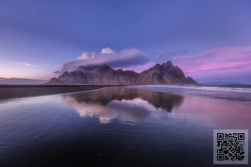 金豊國際貿易有限公司