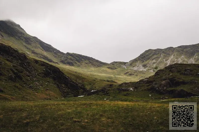 大聯系統及發展有限公司