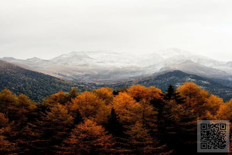 恒繼實業有限公司