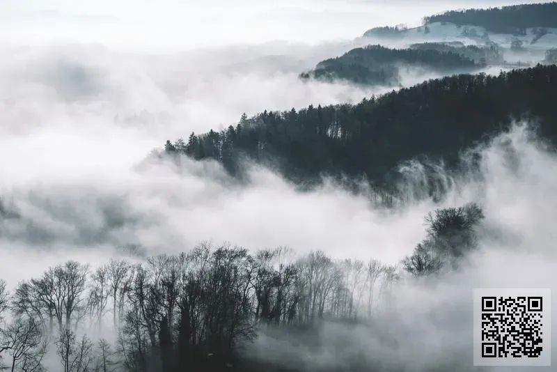 洋聯航運有限公司