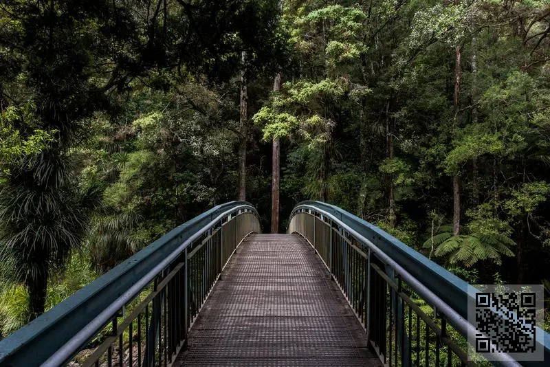 明諾控股有限公司