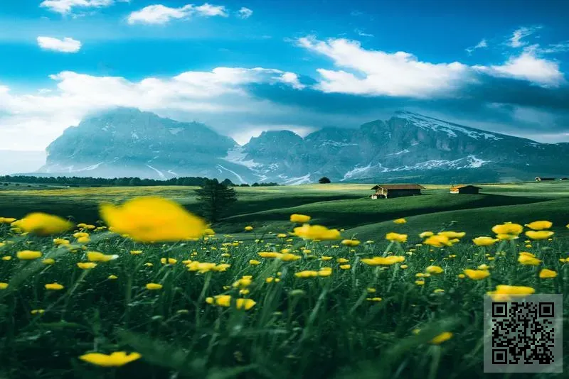 普聯企業有限公司