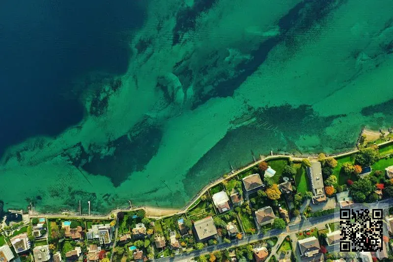 阿卡迪亞音樂經紀有限公司