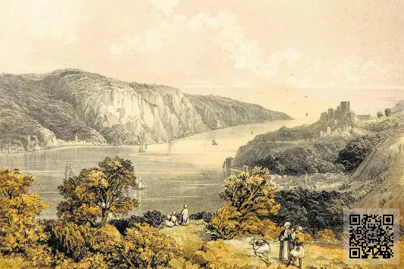 香港王菱投資有限公司