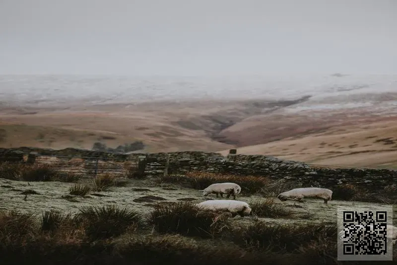 時代09有限公司