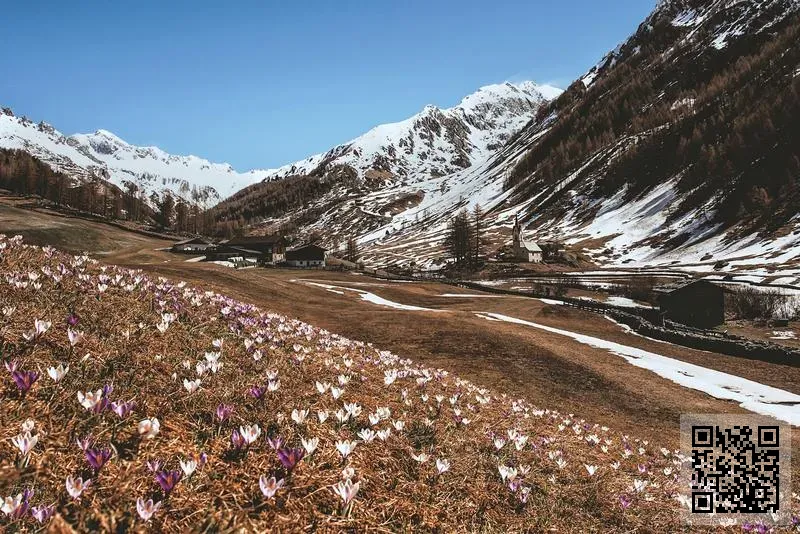 FIVE ZERO TRADE LIMITED