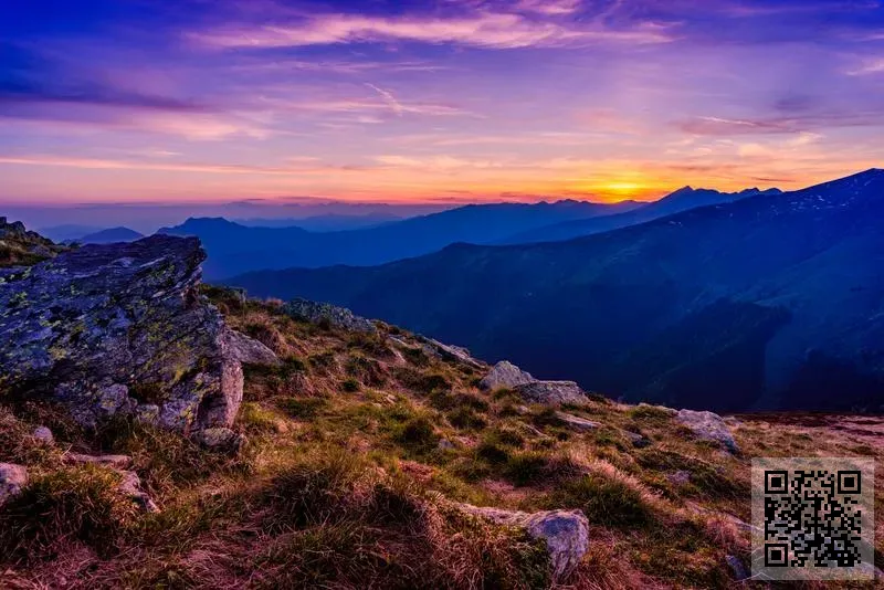 MUSIC ON (RECORDS COMPANY) LIMITED