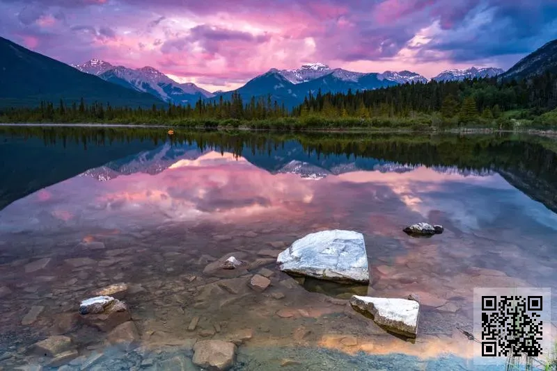 S.K.C SARL TRADING CO., LIMITED