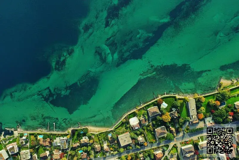 Watchman Agency Company Limited