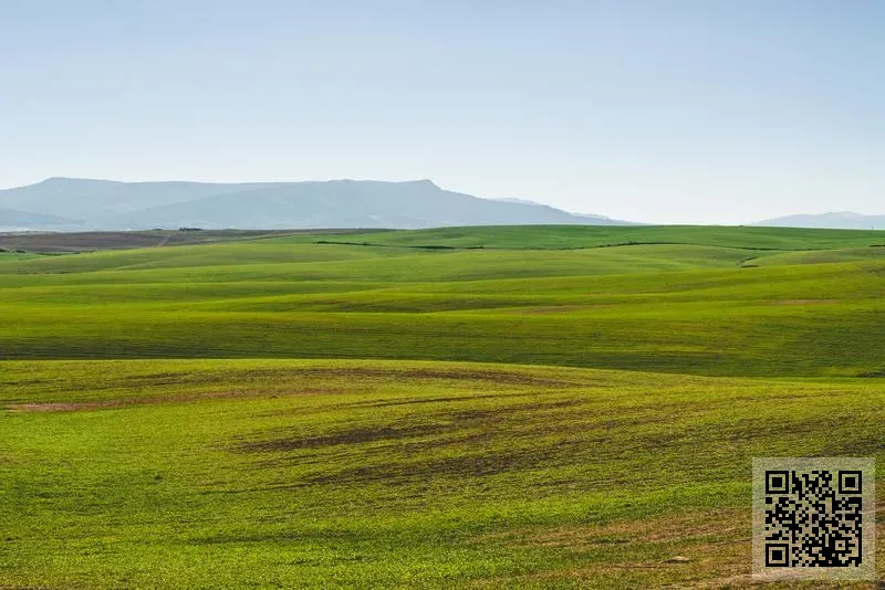 香港柯富頓國際家居有限公司