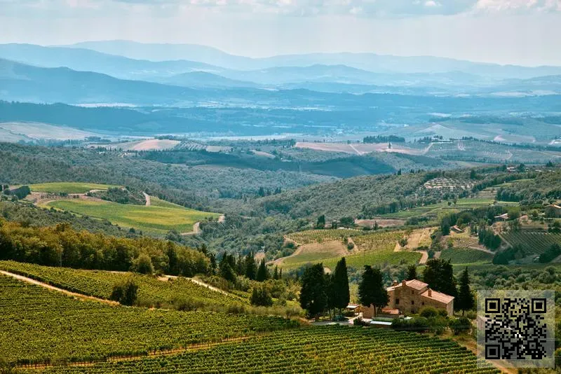 澎澎國際有限公司