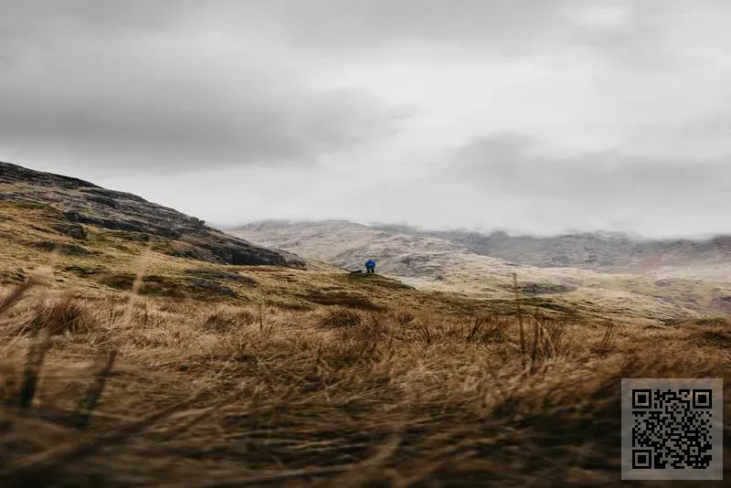 STEELBI Hardware Production & Trading Co., Limited