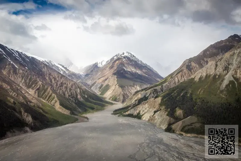 百事達照明有限公司