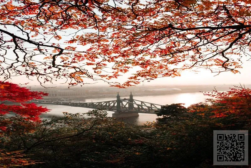 貴州紅色醬酒業有限公司