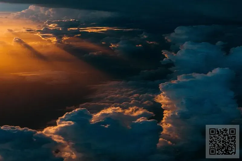 遠宸貿易有限公司