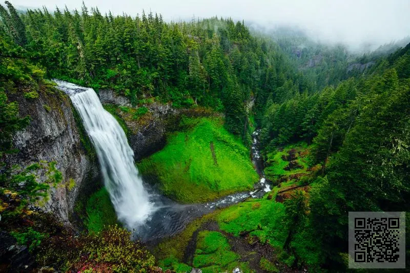 捷星香港航空有限公司