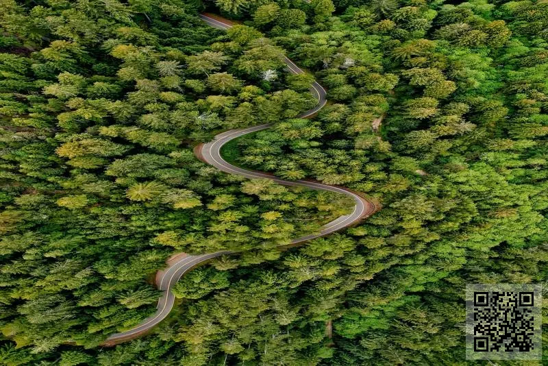 易麗天進出口有限公司