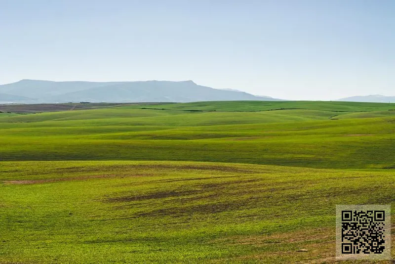 博睿國際(香港)有限公司