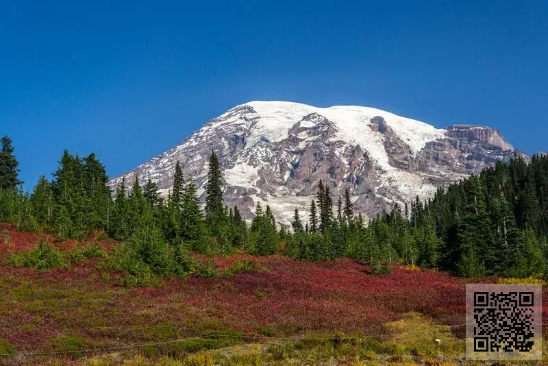 祖莉施玩具有限公司