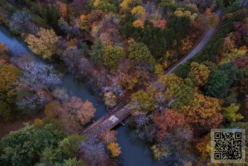 北美海恩達醫療產業國際控股有限公司