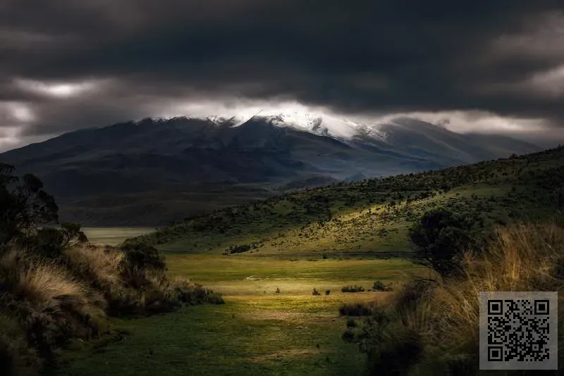 普惠(中國)貿易有限公司