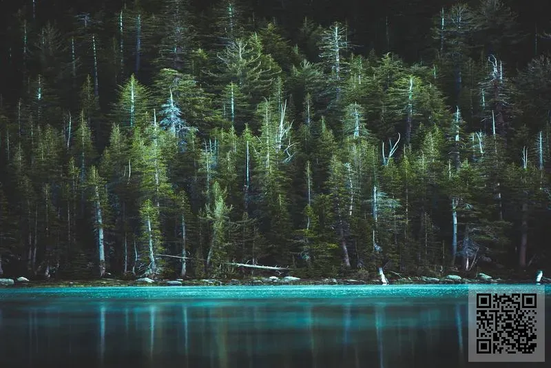 艾斯曼健康產業集團有限公司