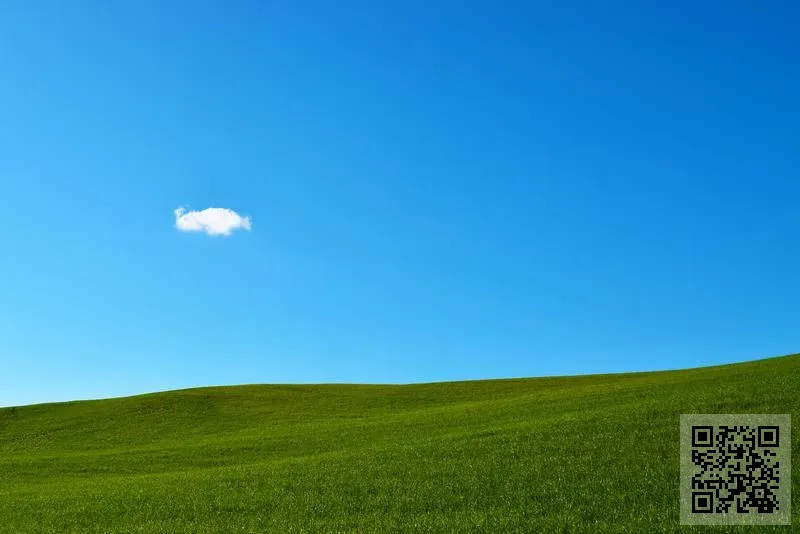 盛優實業有限公司