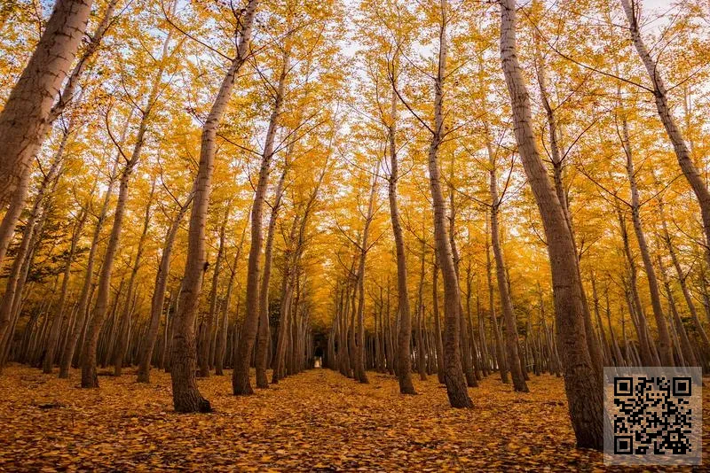 領越實業有限公司