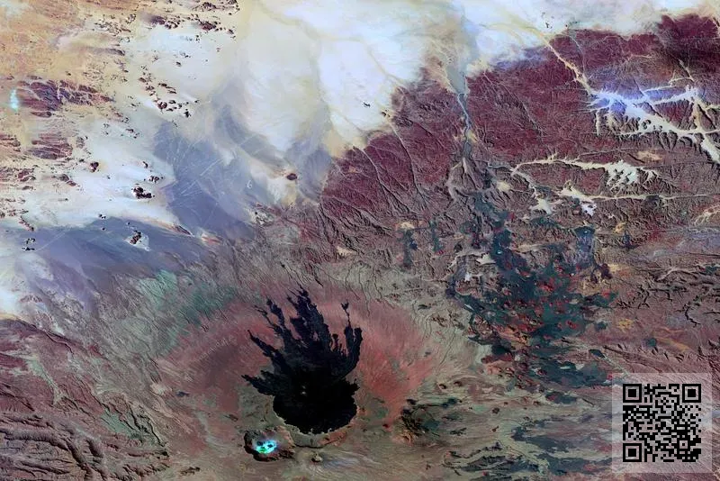 佐敦(香港)食品工業有限公司