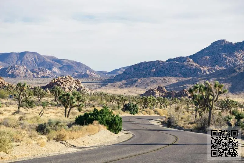 泓盛香港會計事務所有限公司