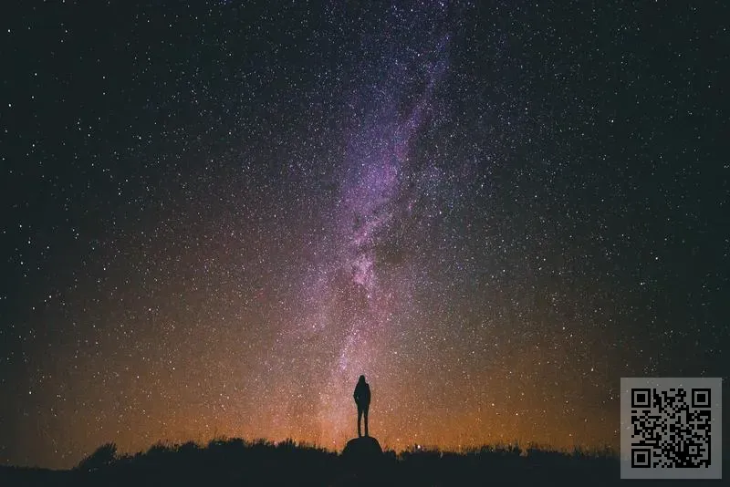 中多香港有限公司