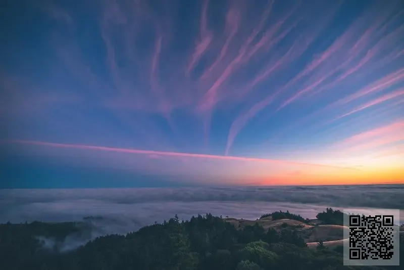 百思國際有限公司