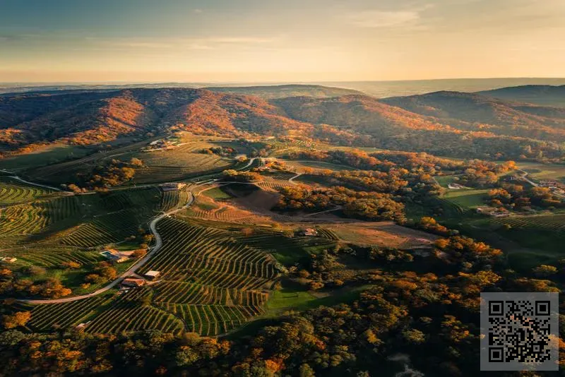 維納億佳(香港)有限公司