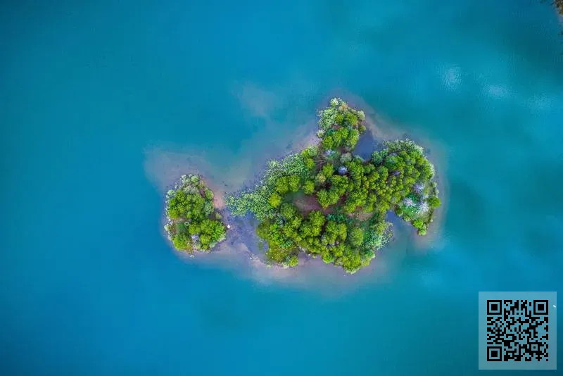 漢和醫健有限公司