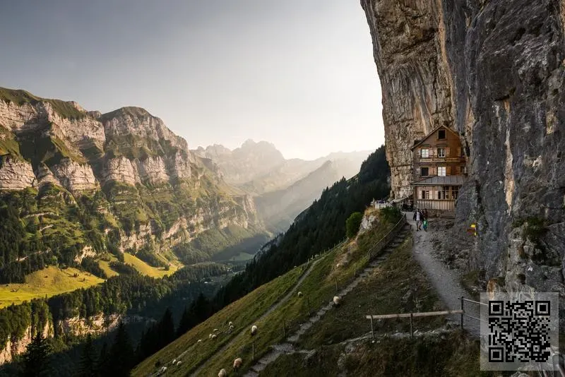 Illuminate International Limited