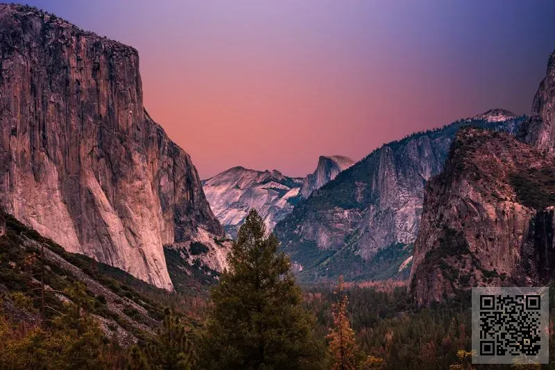 GLOBAL LOCAL SERVICE TECHNOLOGY LIMITED