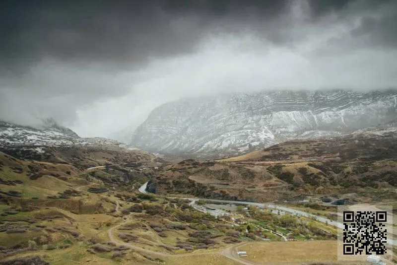 眾志國際投資有限公司