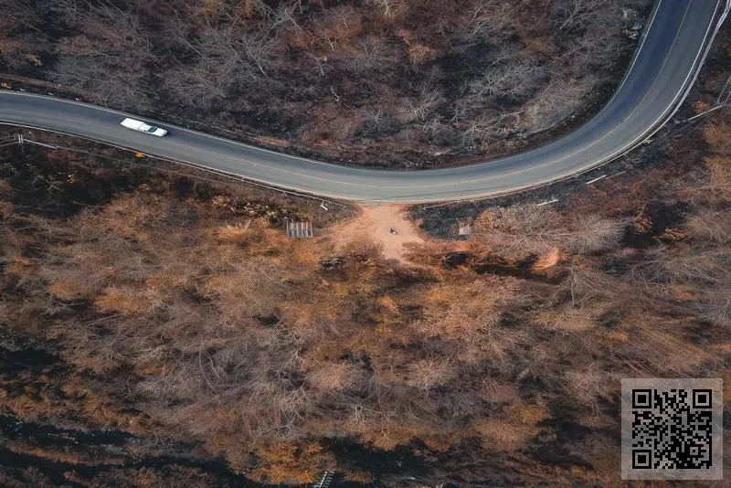 何氏影業有限公司