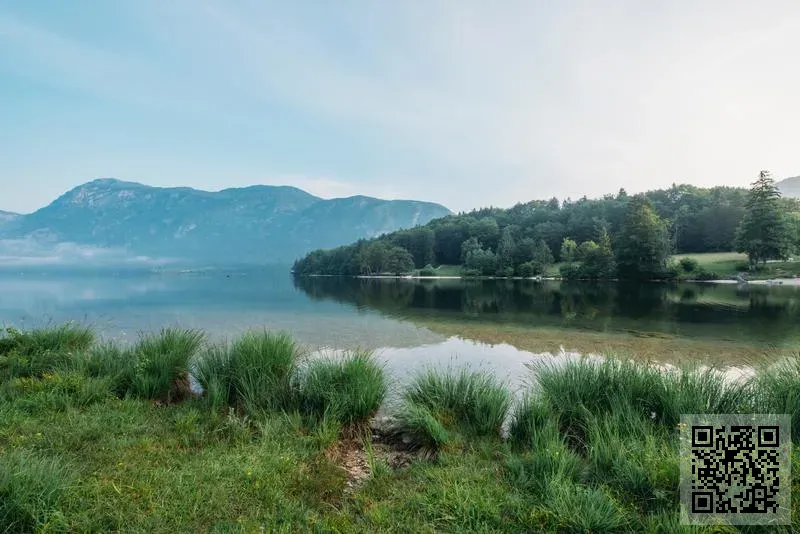 九川(香港)有限公司