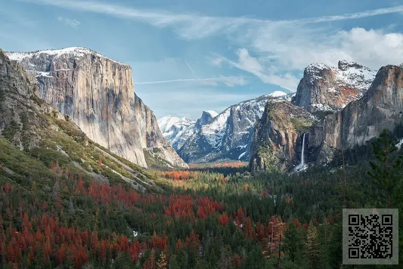 ORIENTAL VISION LIMITED