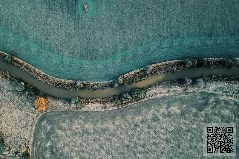 一鳴創意有限公司