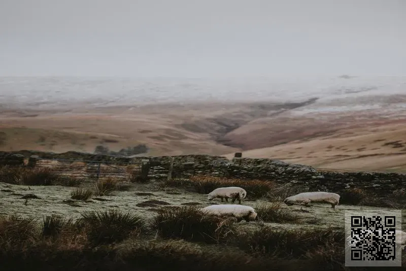 銳創生物醫藥(香港)有限公司