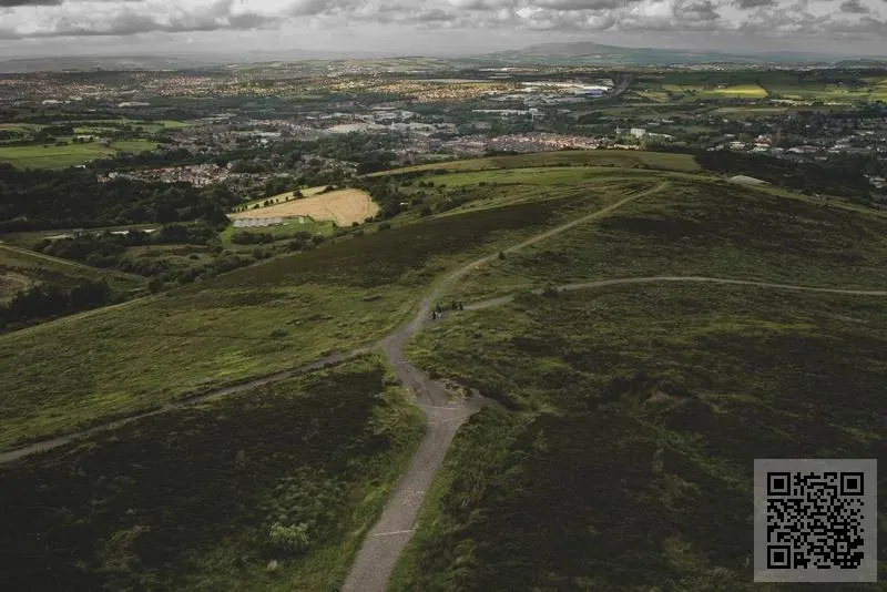 盤石管理科技有限公司