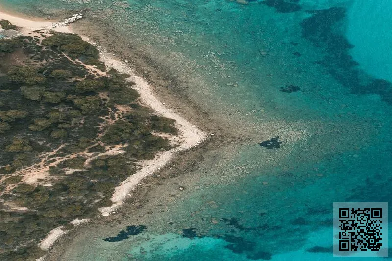 波斯通(香港)國際物流有限公司