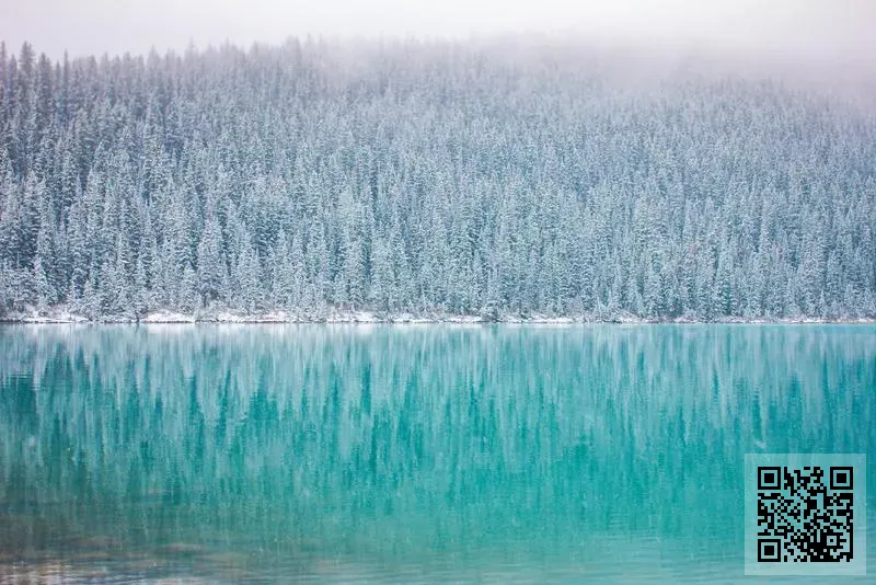 樂之(香港)有限公司