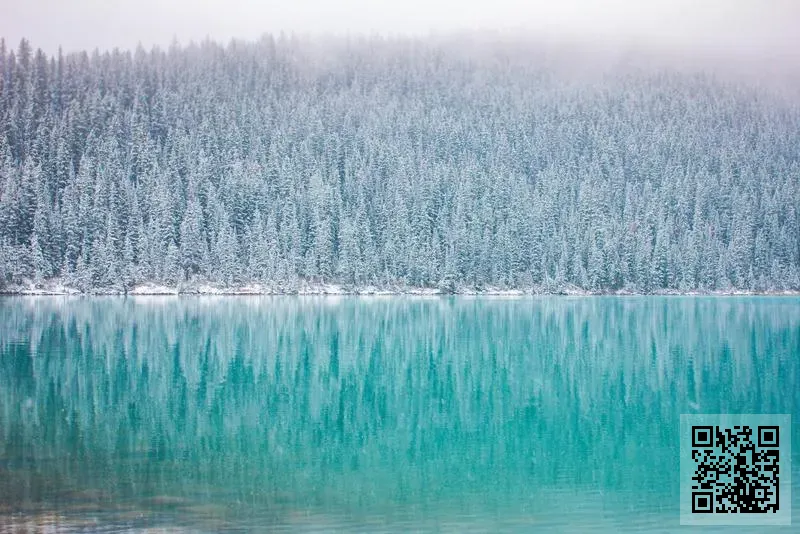 培菁女性創效基金有限公司