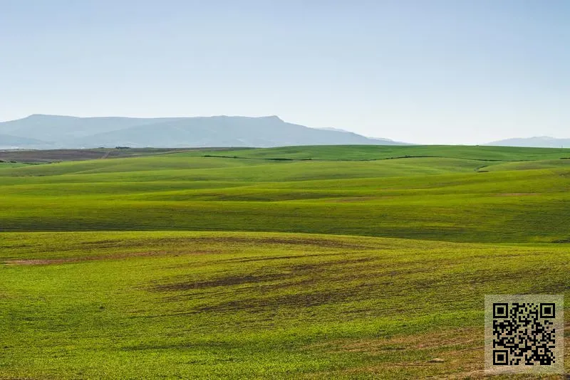香港奧妙集團保健製品有限公司