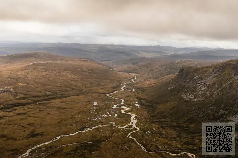 本良國際貿易有限公司